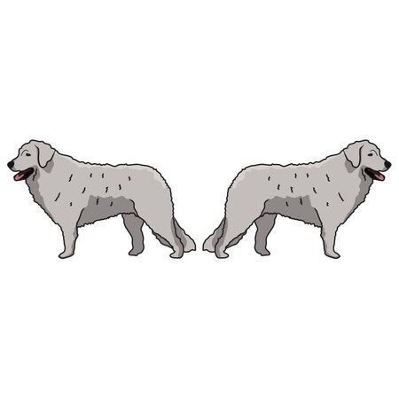 Signmission Kuvaszok Dog Decal, Dog Lover Decor Vinyl Sticker D-18-Kuvaszok